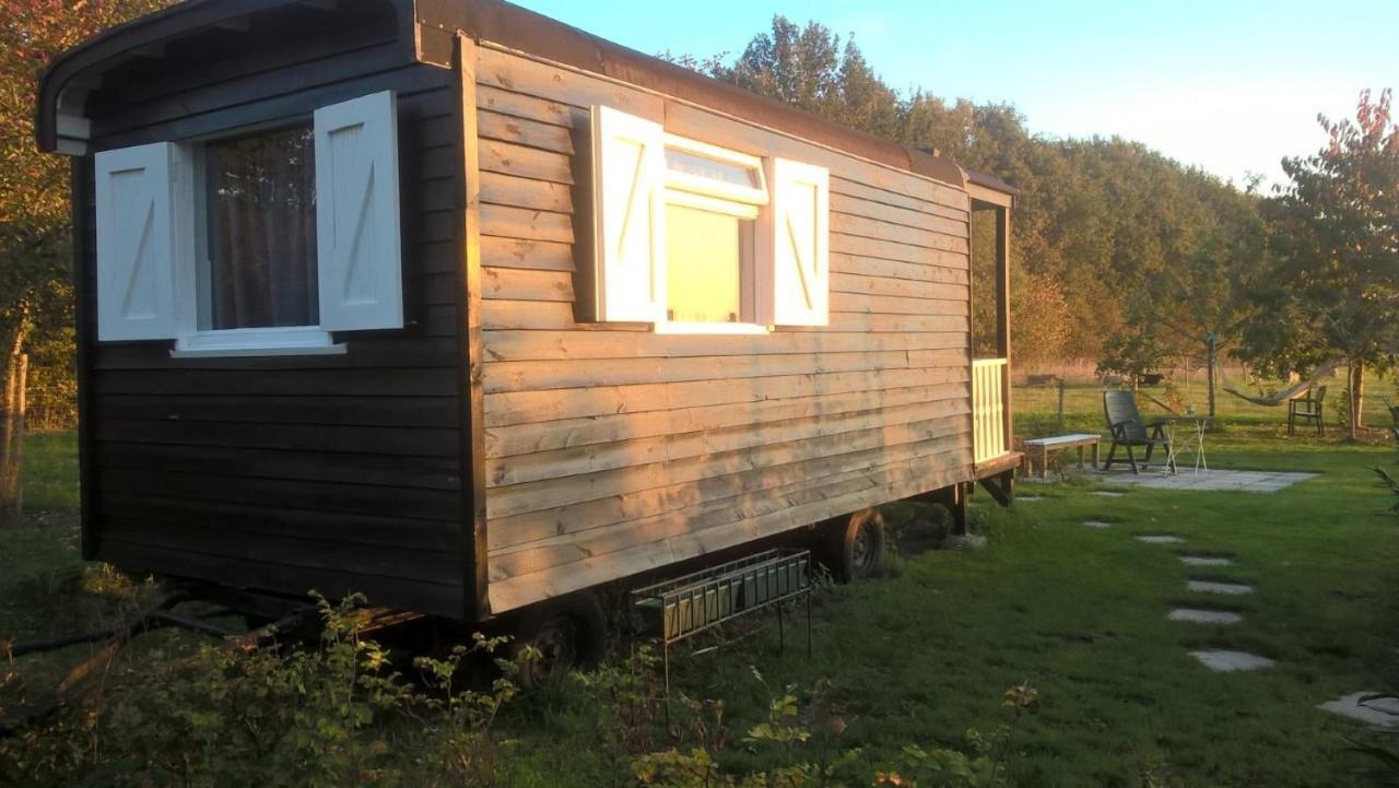 Pipowagen Elsebein Groningen Westerwolde Unieke Ligging Met Eigen Tuin En Vrij Uitzicht Over Veld Naar Natuurgebied Onstwedde Esterno foto