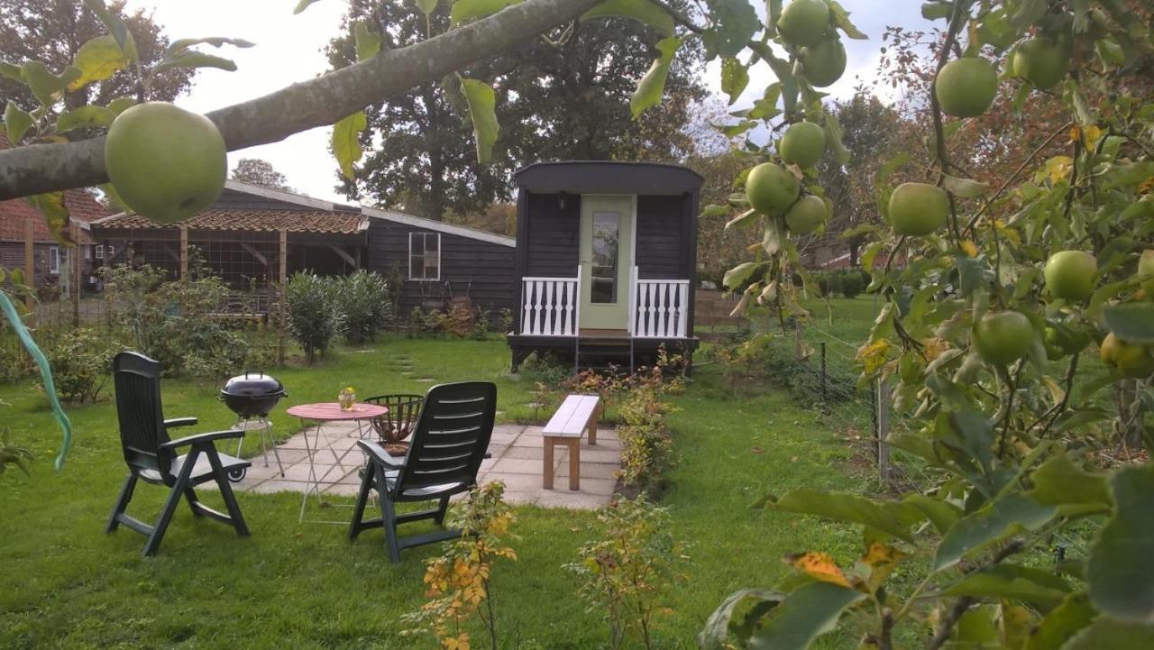 Pipowagen Elsebein Groningen Westerwolde Unieke Ligging Met Eigen Tuin En Vrij Uitzicht Over Veld Naar Natuurgebied Onstwedde Esterno foto