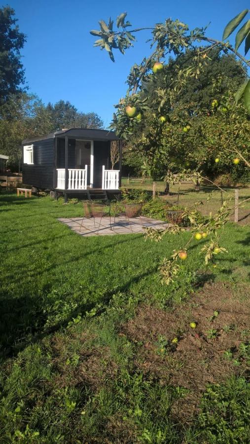 Pipowagen Elsebein Groningen Westerwolde Unieke Ligging Met Eigen Tuin En Vrij Uitzicht Over Veld Naar Natuurgebied Onstwedde Esterno foto