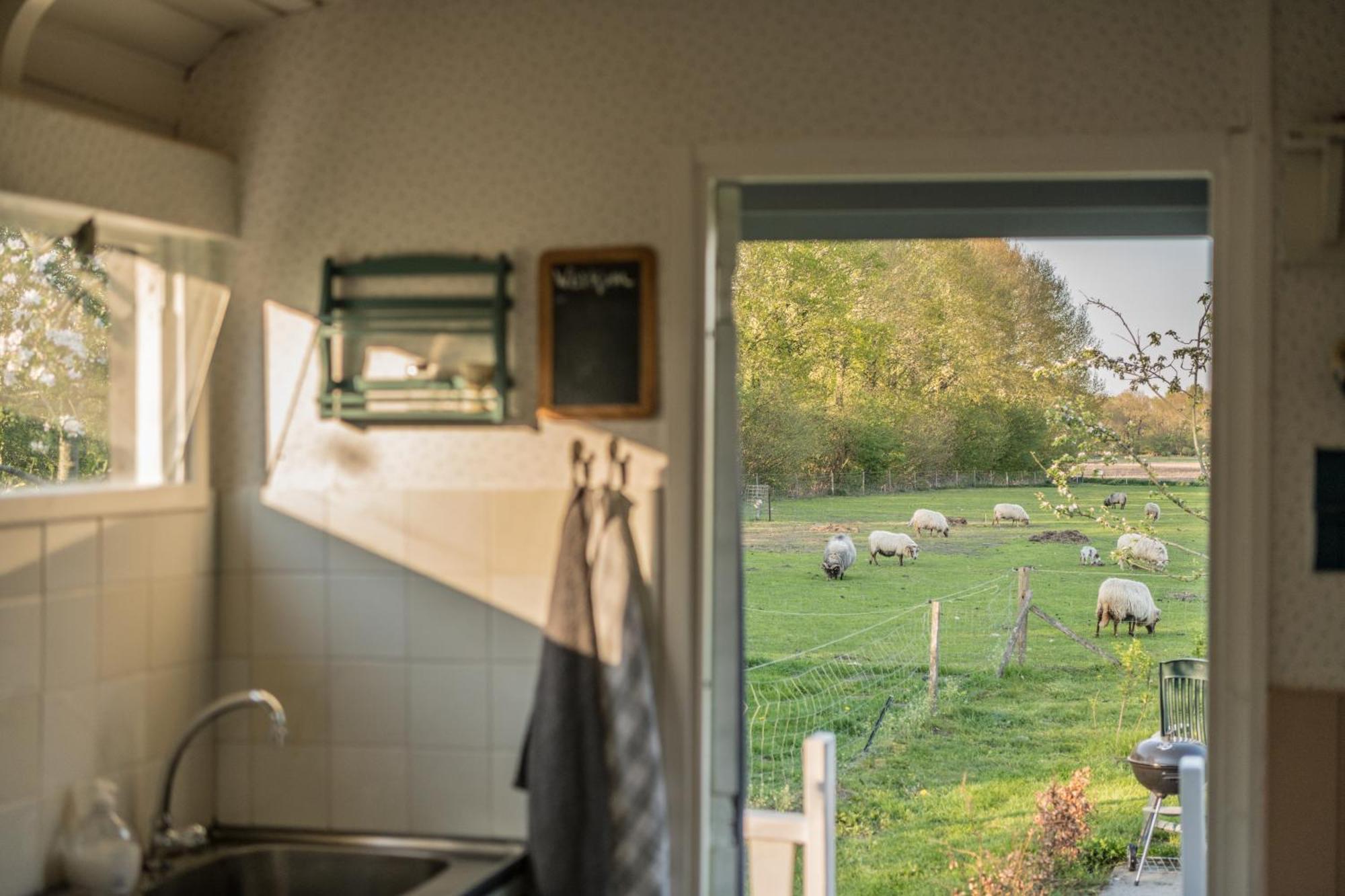 Pipowagen Elsebein Groningen Westerwolde Unieke Ligging Met Eigen Tuin En Vrij Uitzicht Over Veld Naar Natuurgebied Onstwedde Esterno foto