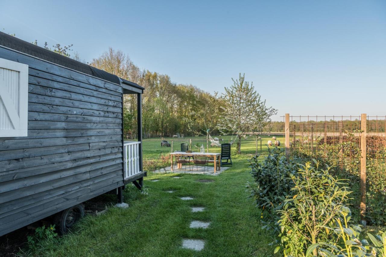 Pipowagen Elsebein Groningen Westerwolde Unieke Ligging Met Eigen Tuin En Vrij Uitzicht Over Veld Naar Natuurgebied Onstwedde Esterno foto